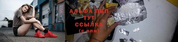 PSILOCYBIN Бронницы