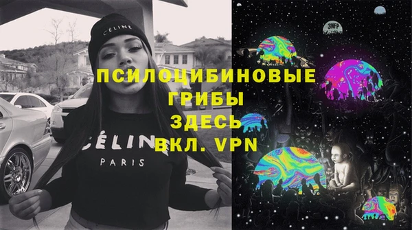 прущие грибы Струнино