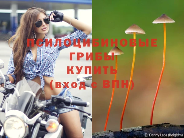PSILOCYBIN Бронницы