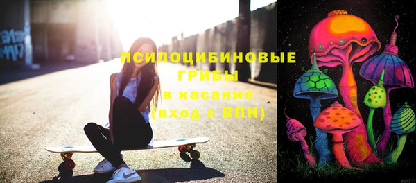 а пвп мука Бородино