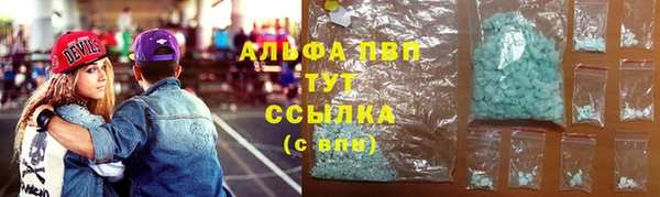 PSILOCYBIN Бронницы