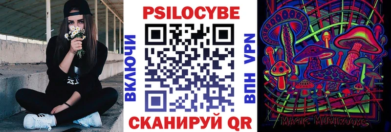 продажа наркотиков  кракен сайт  Псилоцибиновые грибы Psilocybine cubensis  Надым 